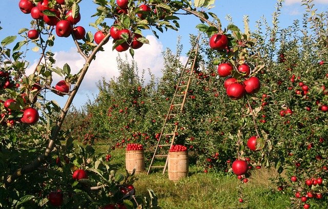 Chi lavora in aziende agricole può richiedere dei prestiti?